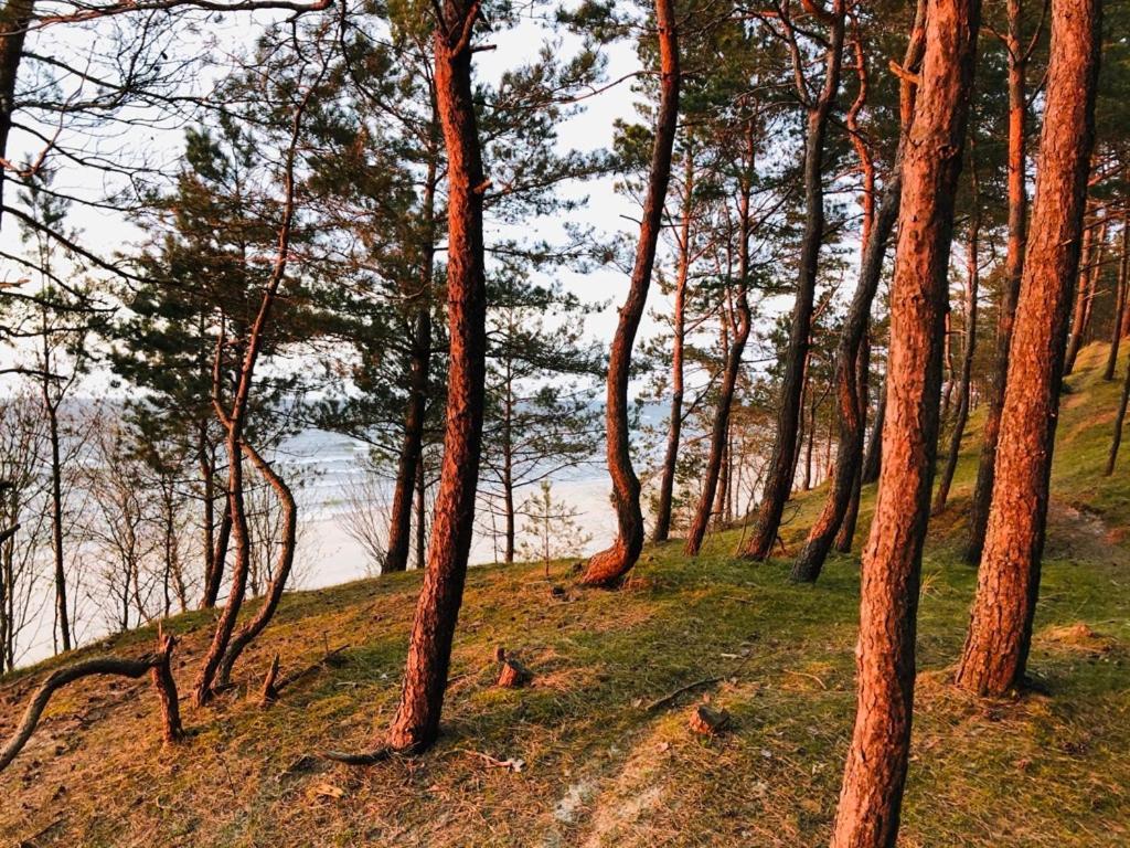 Domki Skowronki Katy Rybackie Bagian luar foto