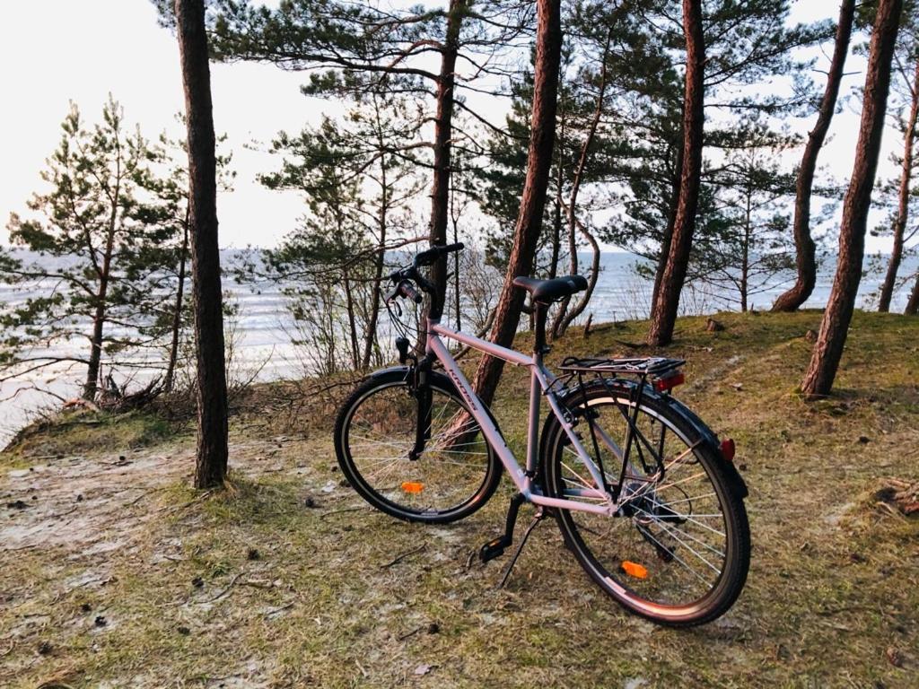 Domki Skowronki Katy Rybackie Bagian luar foto